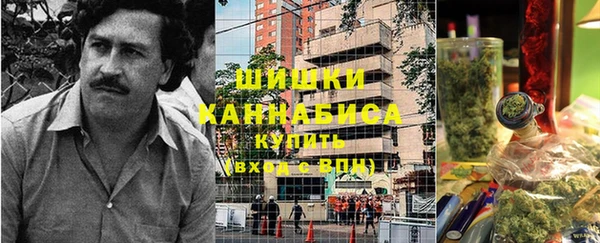 ГАЛЛЮЦИНОГЕННЫЕ ГРИБЫ Алзамай