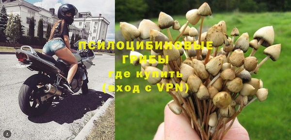 мескалин Алексеевка